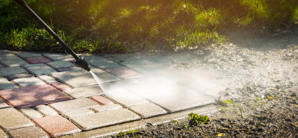 Best Paint Preparation  in Pasadena, CA